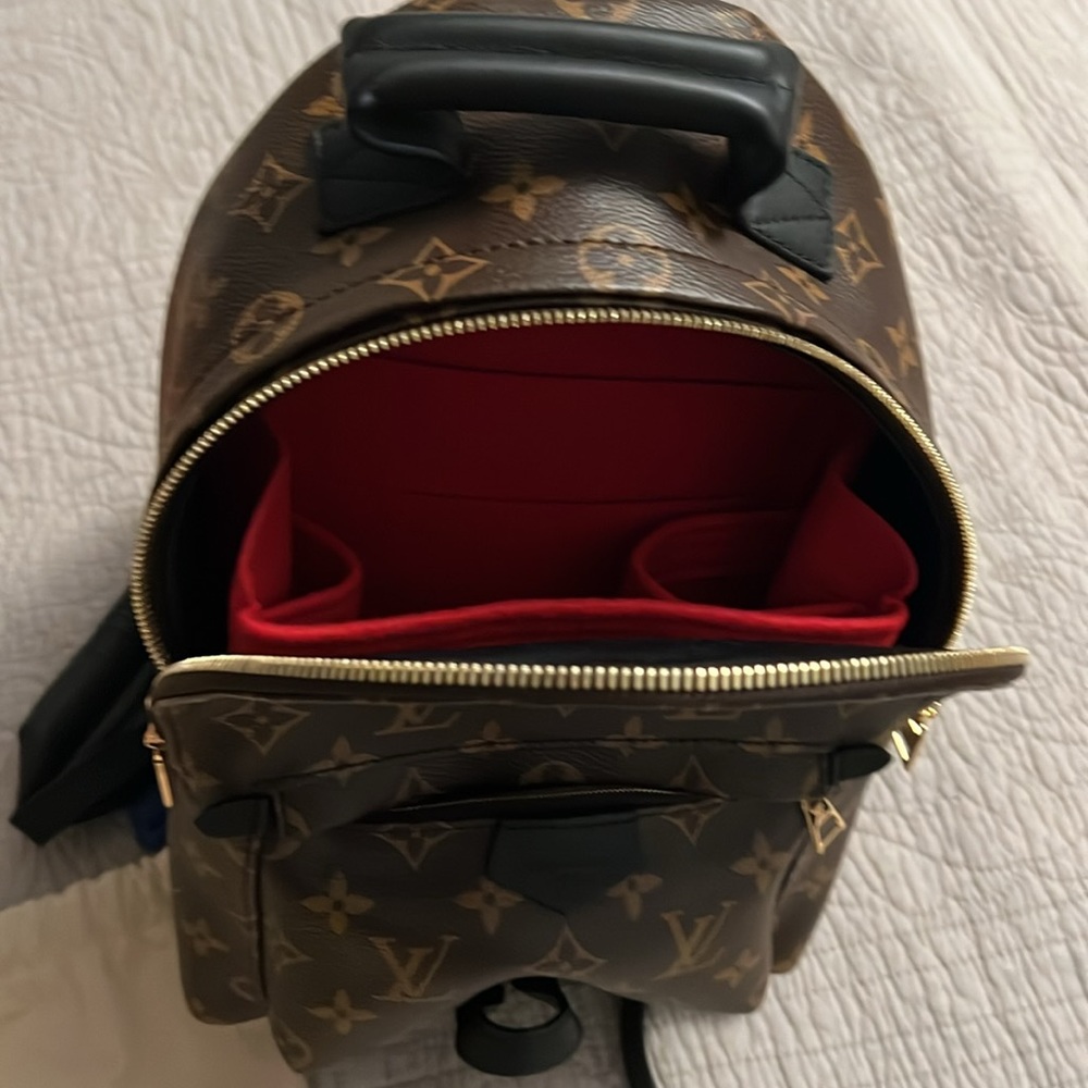 Louis Vuitton Palm Springs MM backpack - Picture 9 of 9